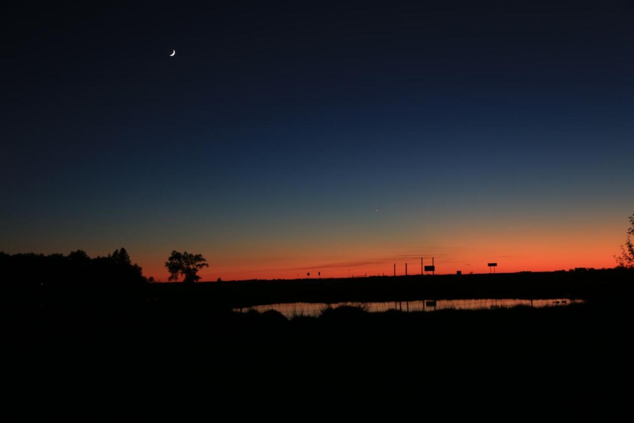 Artos Motel Harvey Exteriér fotografie