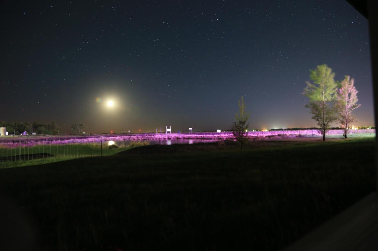 Artos Motel Harvey Exteriér fotografie